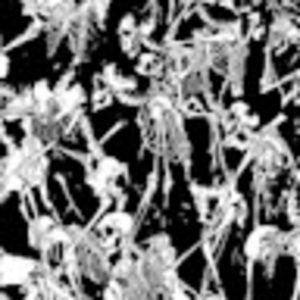 Meet your Posher, Jess